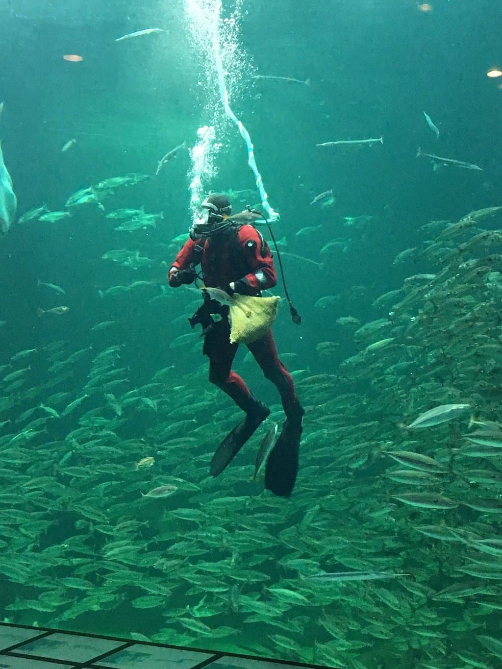 North Sea Aquarium