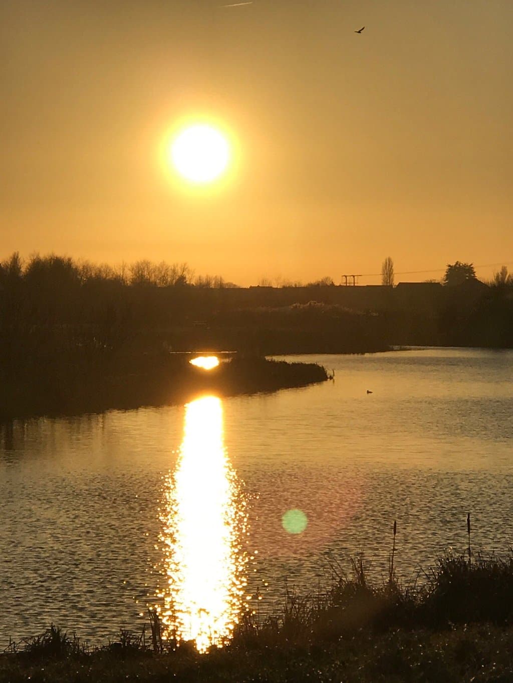Cleethorpes Country Park