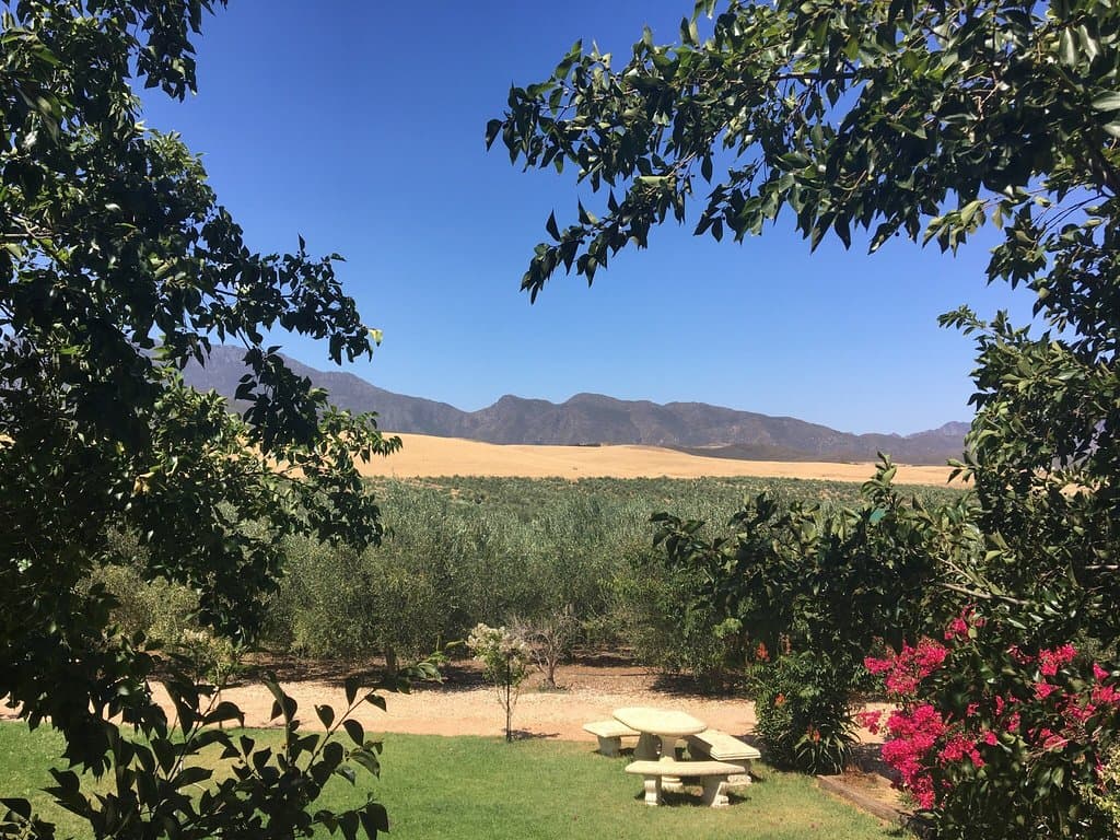 Marbrin Olive Farm