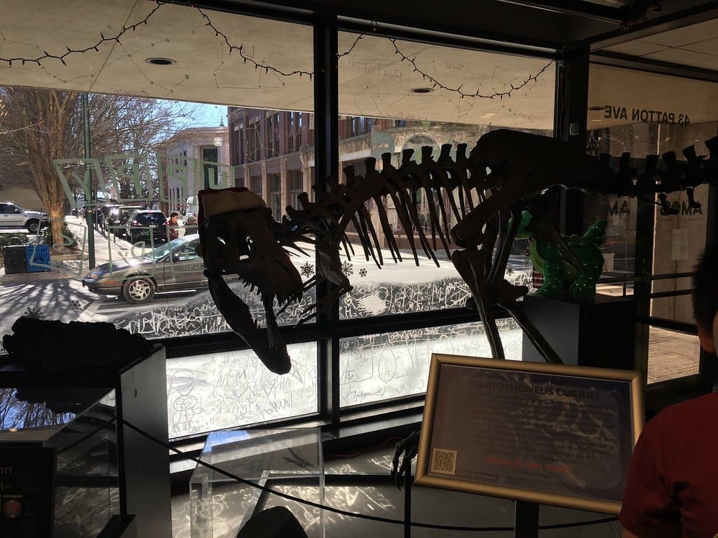 Asheville Museum of Science