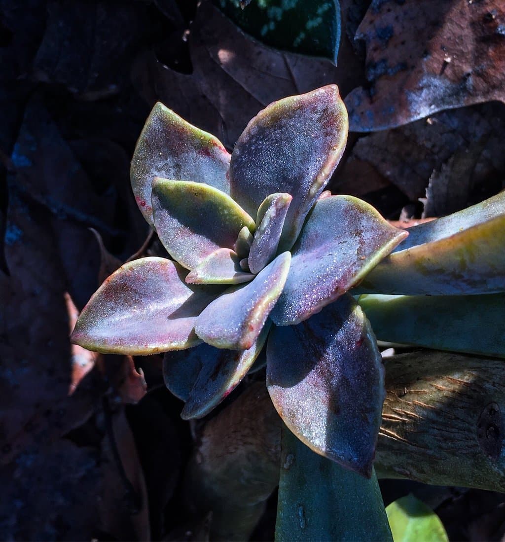 A beautiful place to walk