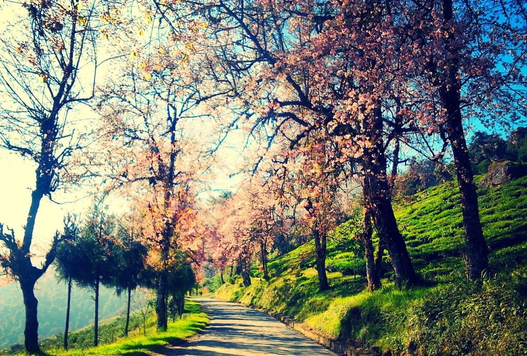 Discover, explore, live, reflect