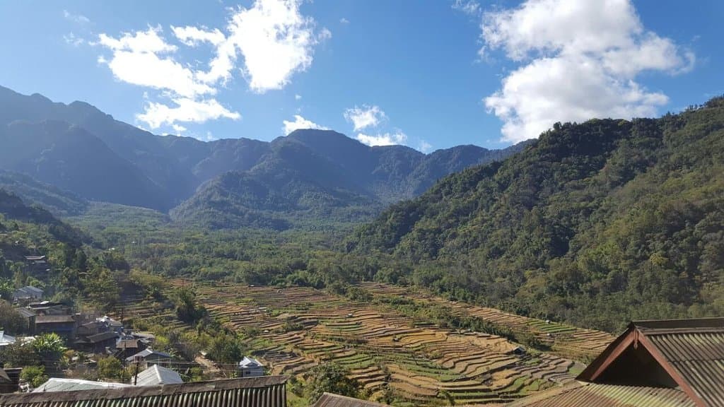 the fields 