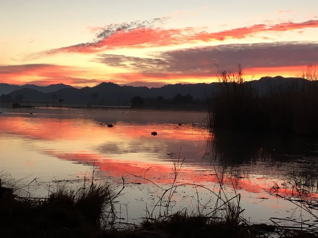 Mittry Lake Wildlife Area