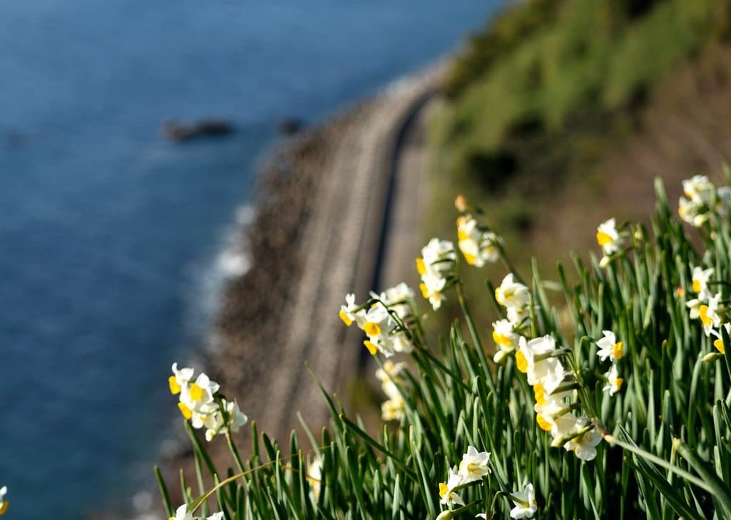 ご覧のとおり断崖にあります