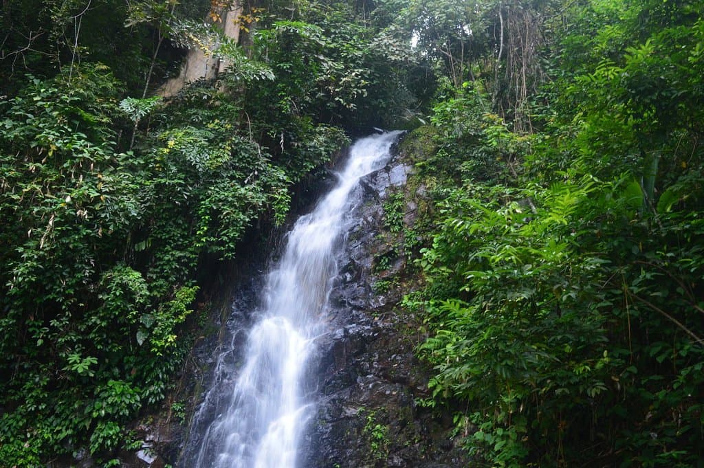 Durian Wasserfall