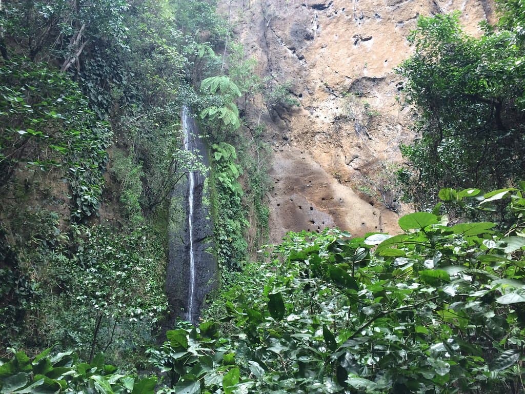 Chocoyero-El Brujo Natural Reserve