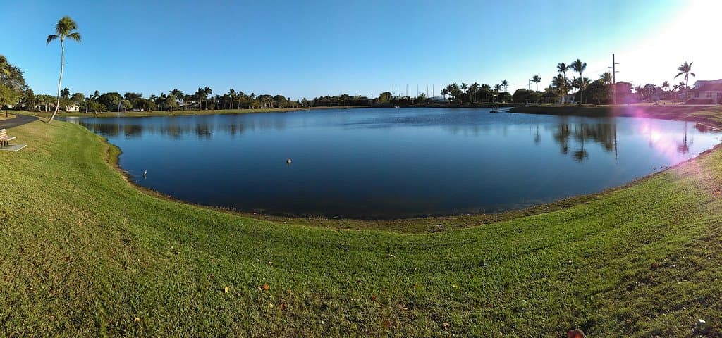 Mackle Park