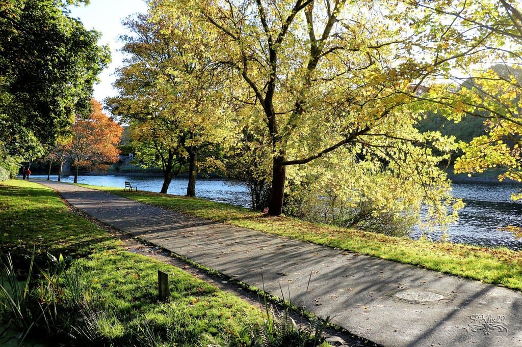 au printemps