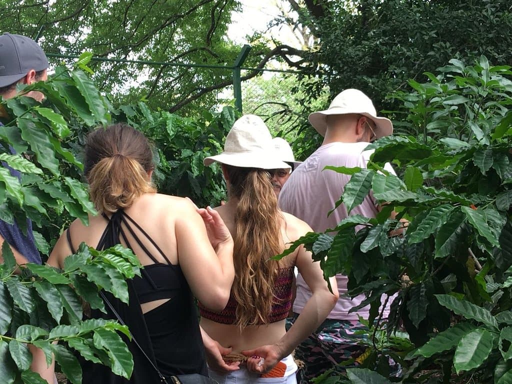 visitors at Tio Leo Coffee Tour