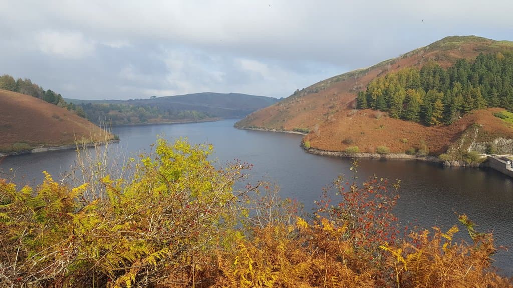 Autumn colours at Clywedog
