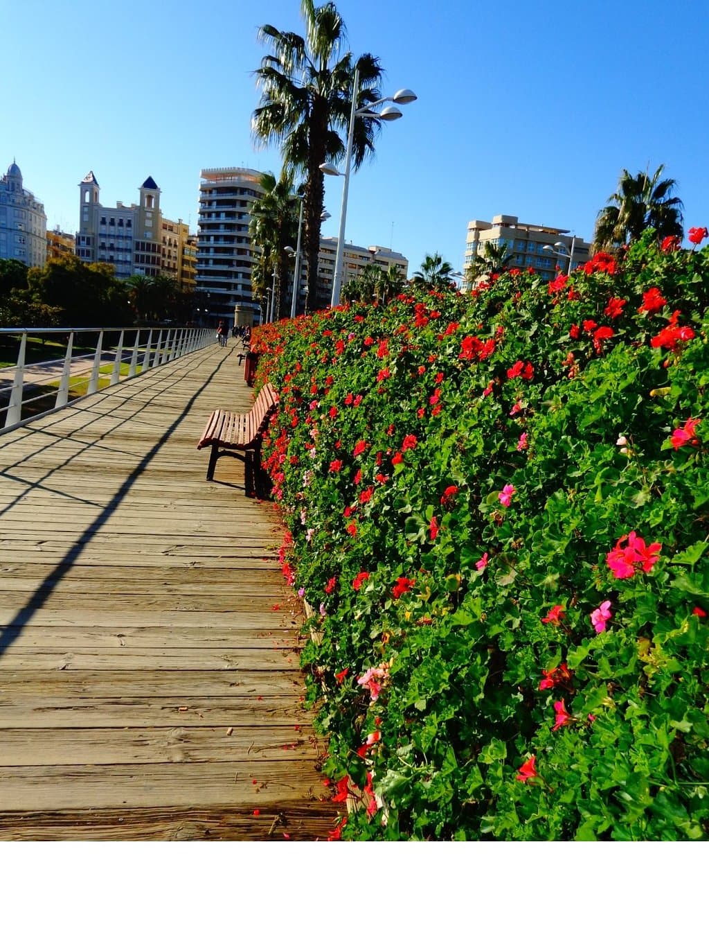 Puente de las Flores