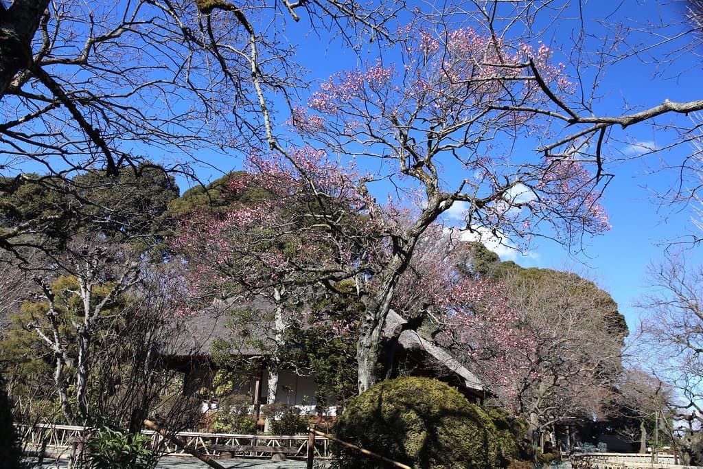 Keio Mogusaen Plum Garden