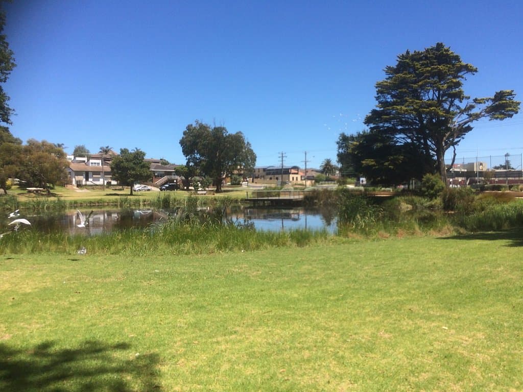 Looking West Over The Lake