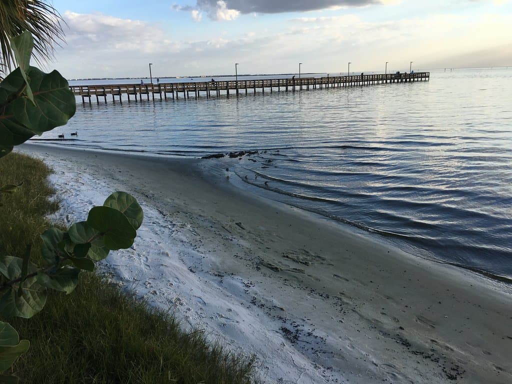 Pier
