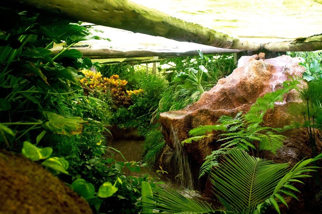 getlstd_property_photo