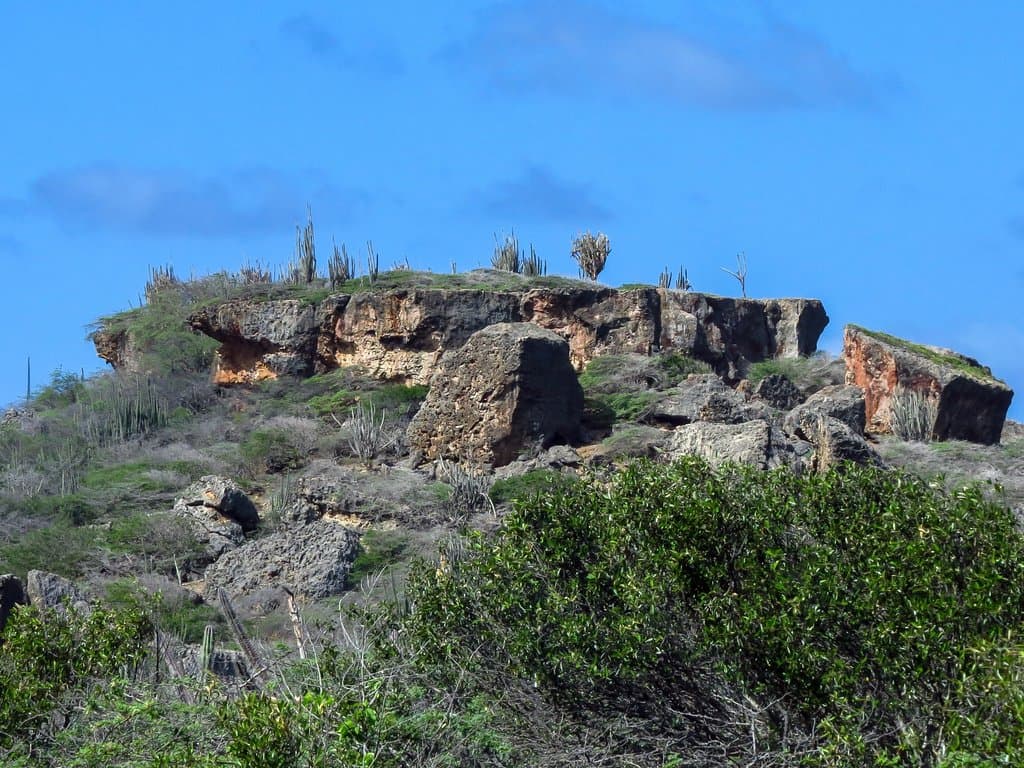 area view