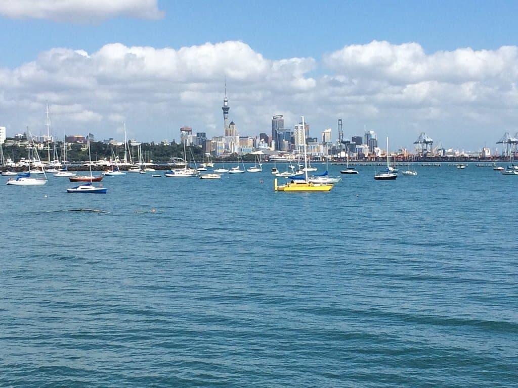 Tamaki Drive Auckland