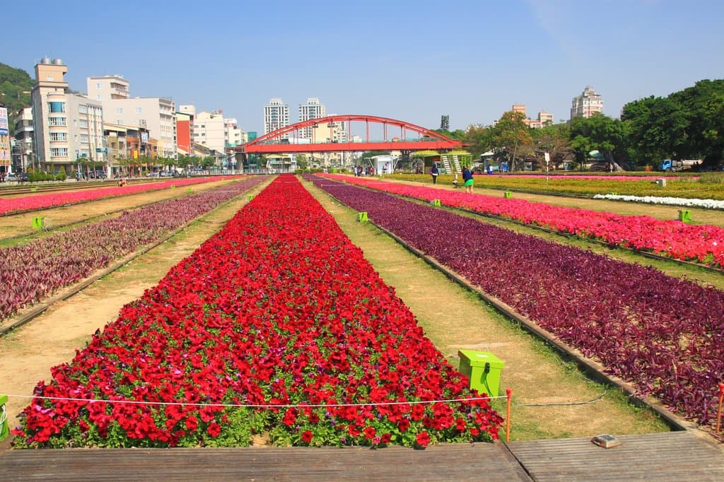 高雄港站軌道花海
