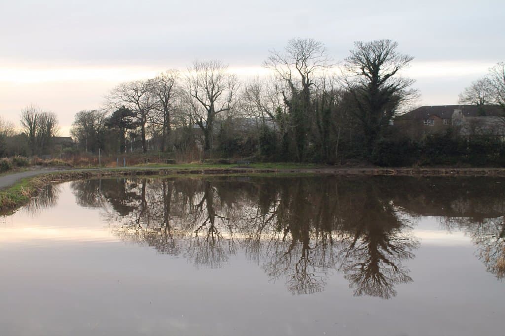 Pond reflection.