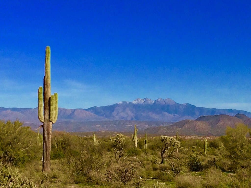 McDowell Mountain Regional Park