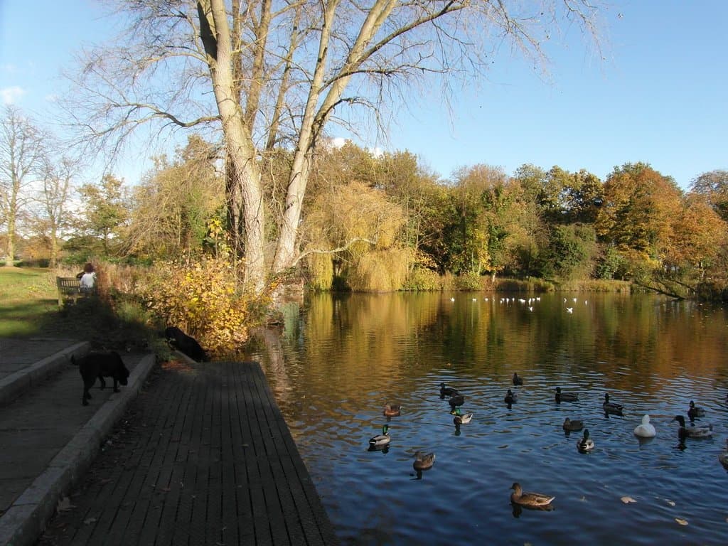 Market Bosworth Country Park