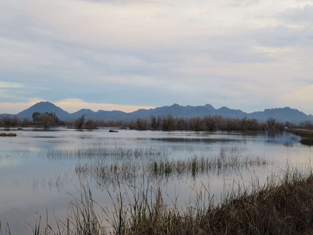 view of Sutter Buttes