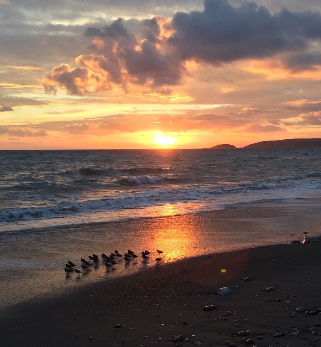 Downderry Beach
