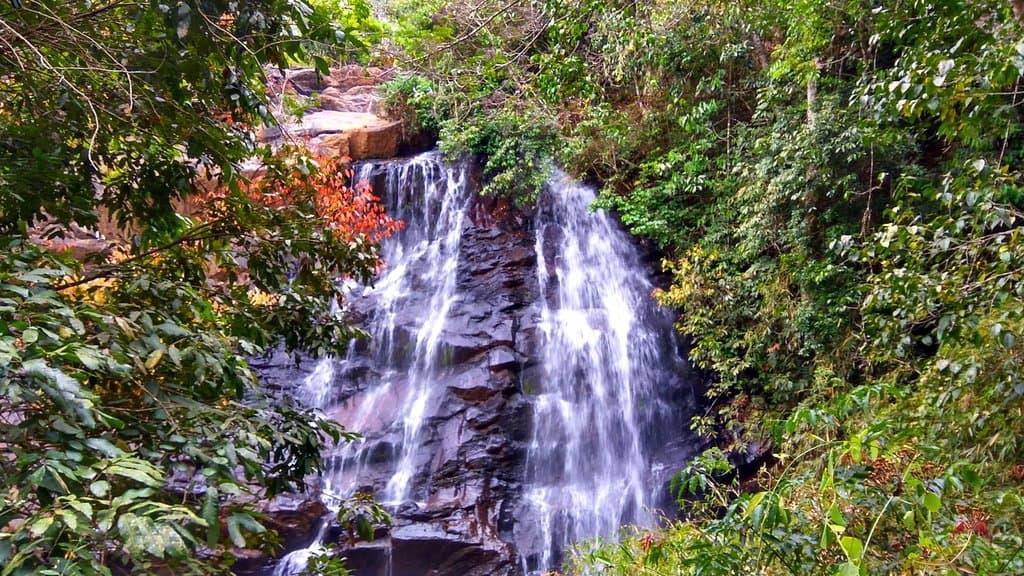 View from watch tower