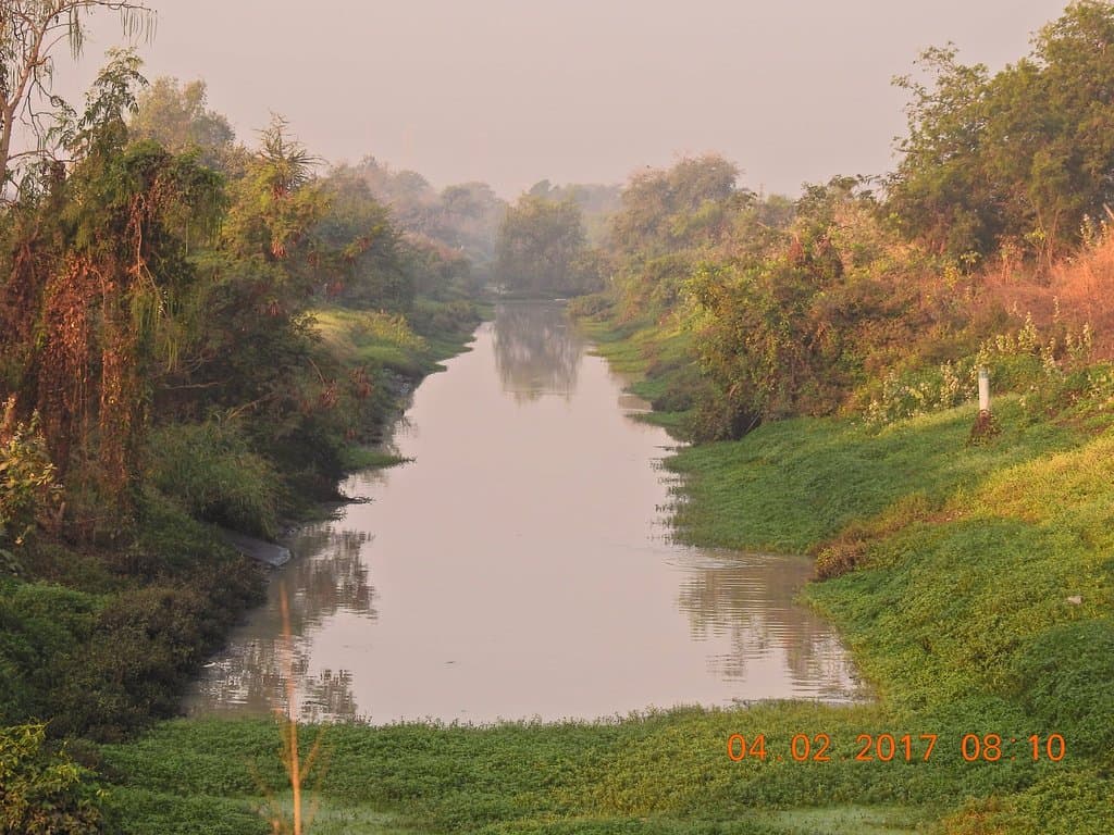 Bhandup Pumping Station Birding Trail