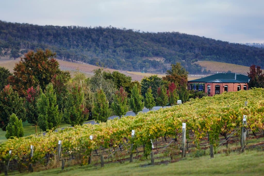De Bortoli Restaurant and Cellar Door