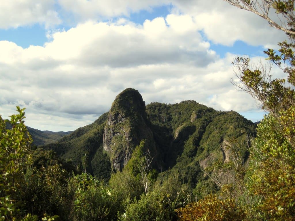 traumhafte Landschaft auf dem Pinnicles Track ( Kauaeranga )