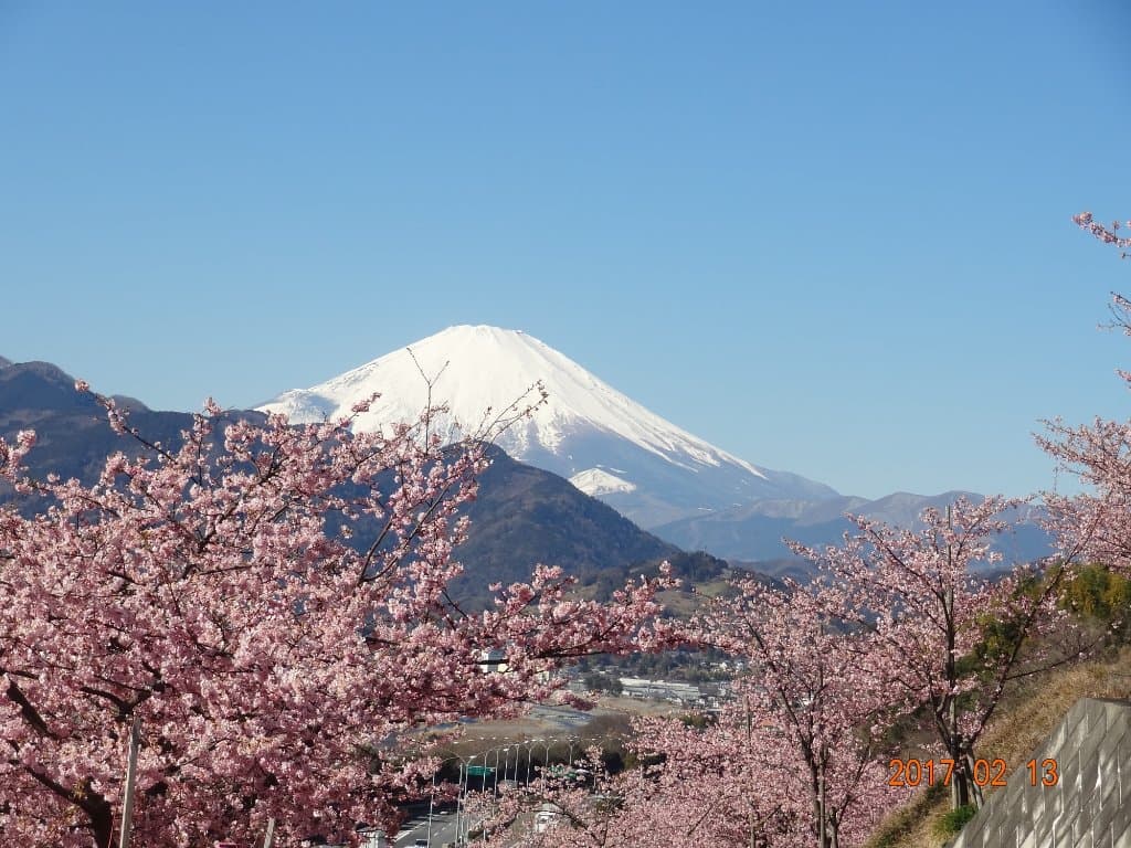 Matsudayama Herb Garden Nishihirahata Park