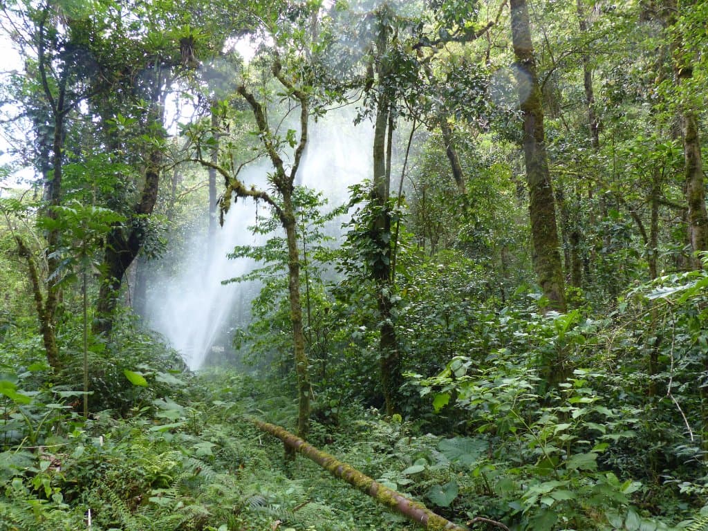 Water leaking from the pipe