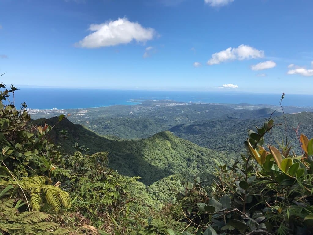 El Yunque Peak Trail Puerto Rico
