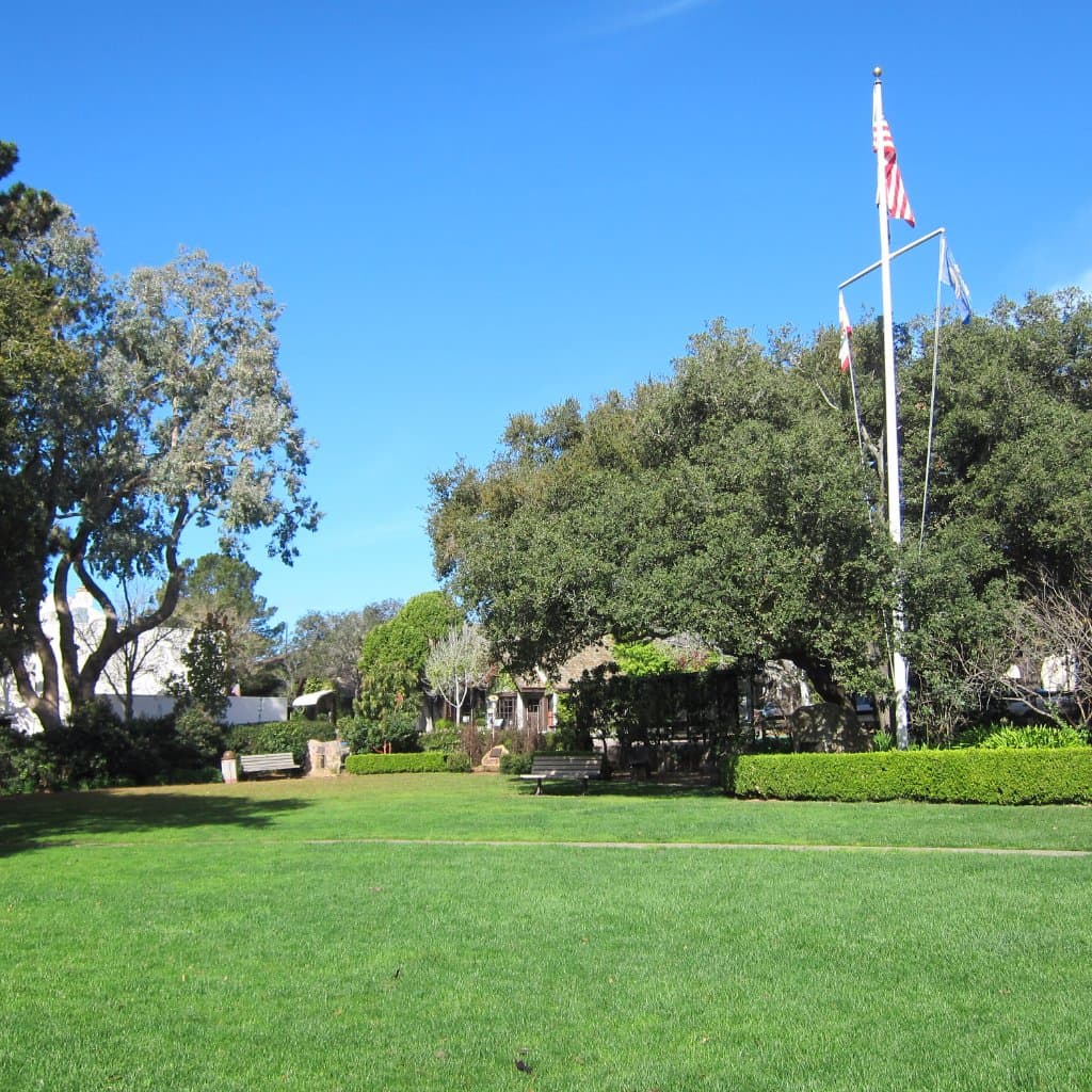 Lawn area Devendorf