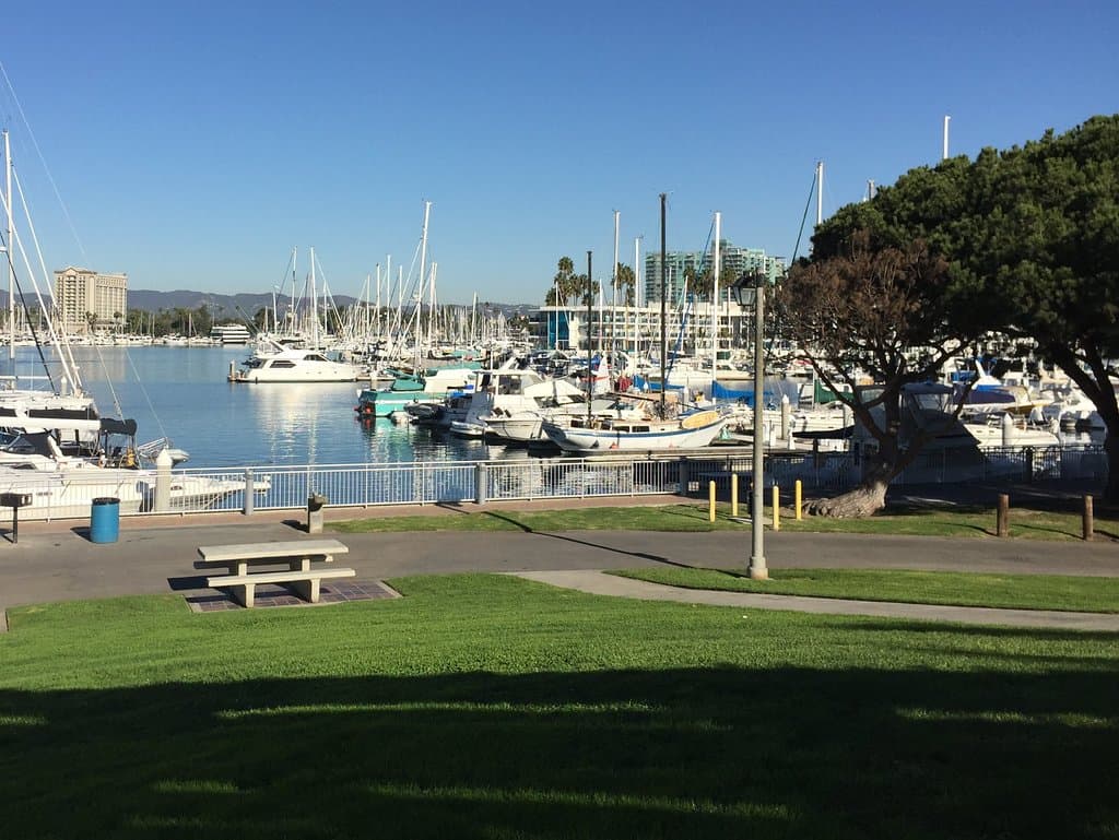 View from park over marina