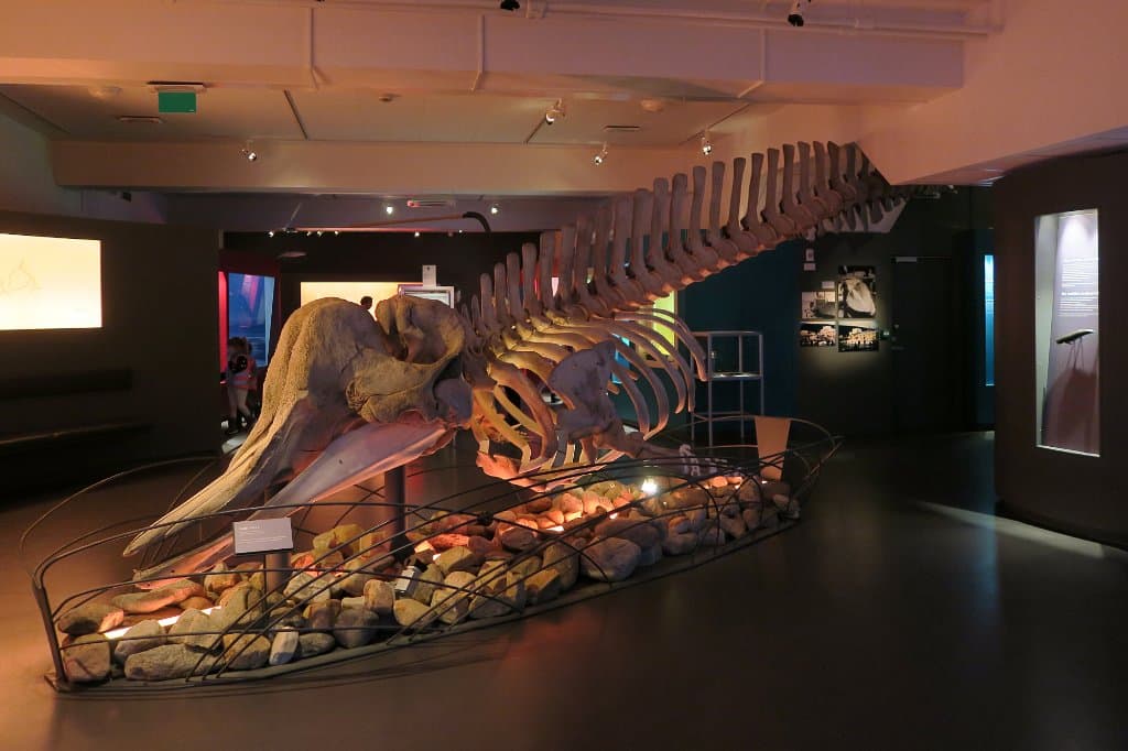 Tromsø Museum 2017