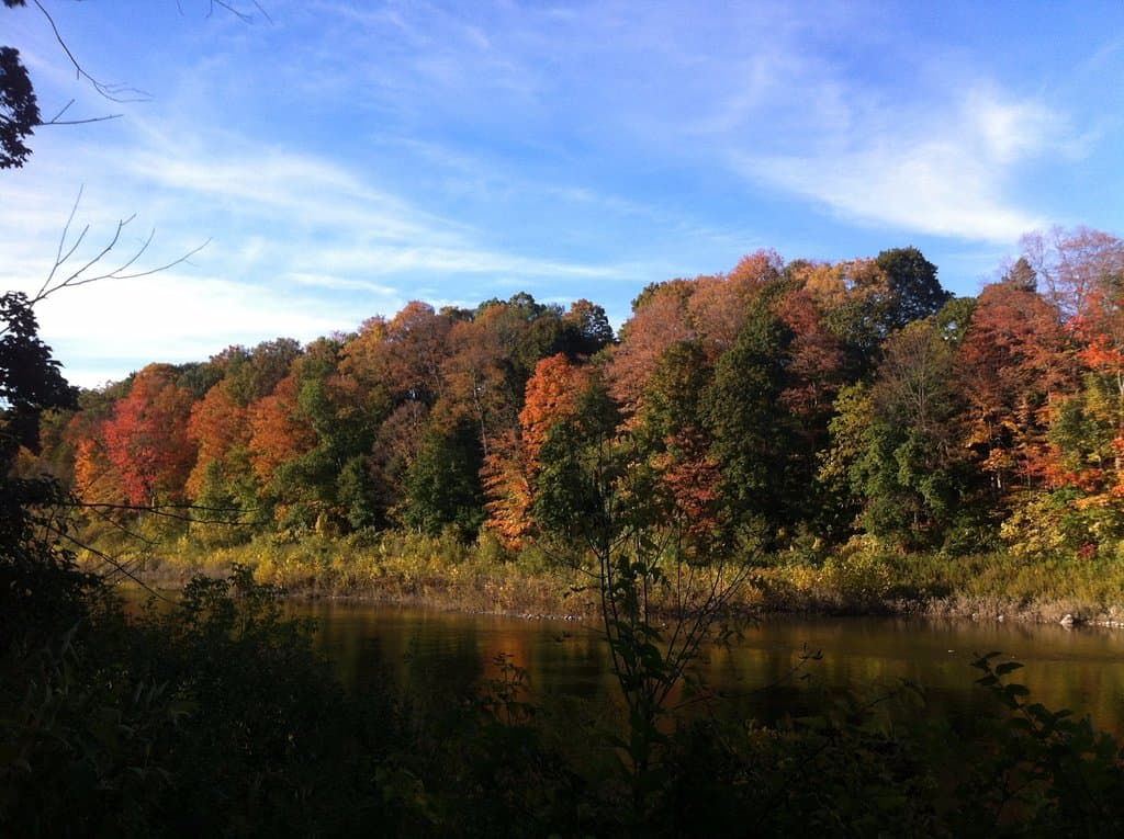 fall colrs along the river