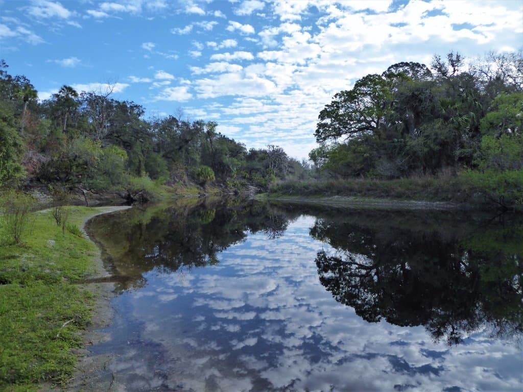 The mighty Econlockhatchee