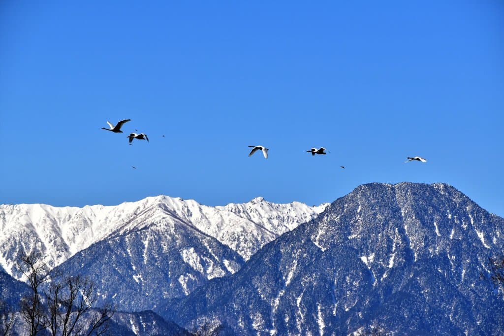 Saigawa River Promenade