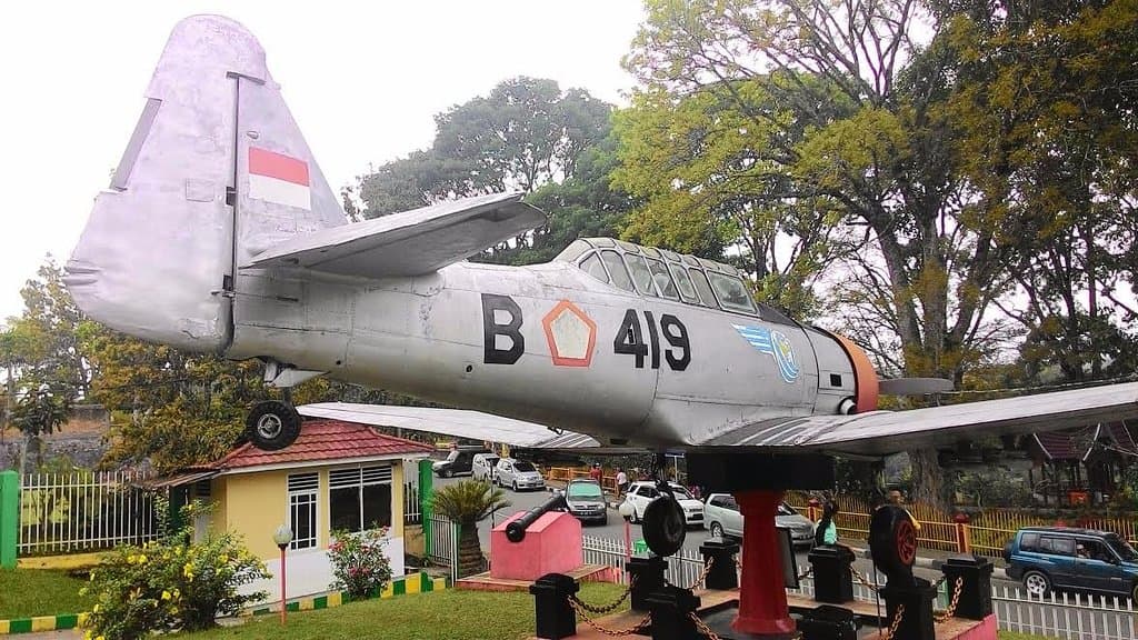 Aeroplane from backside