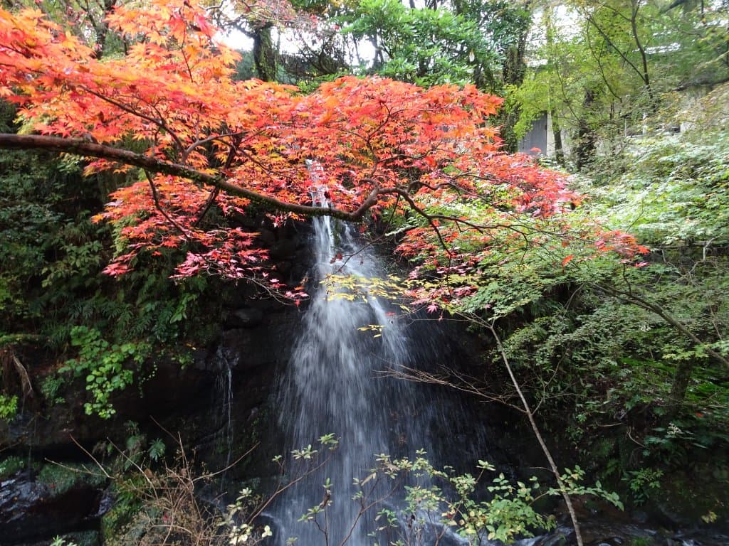 น้ำตกในสวน