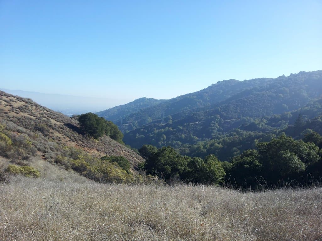 Trail views