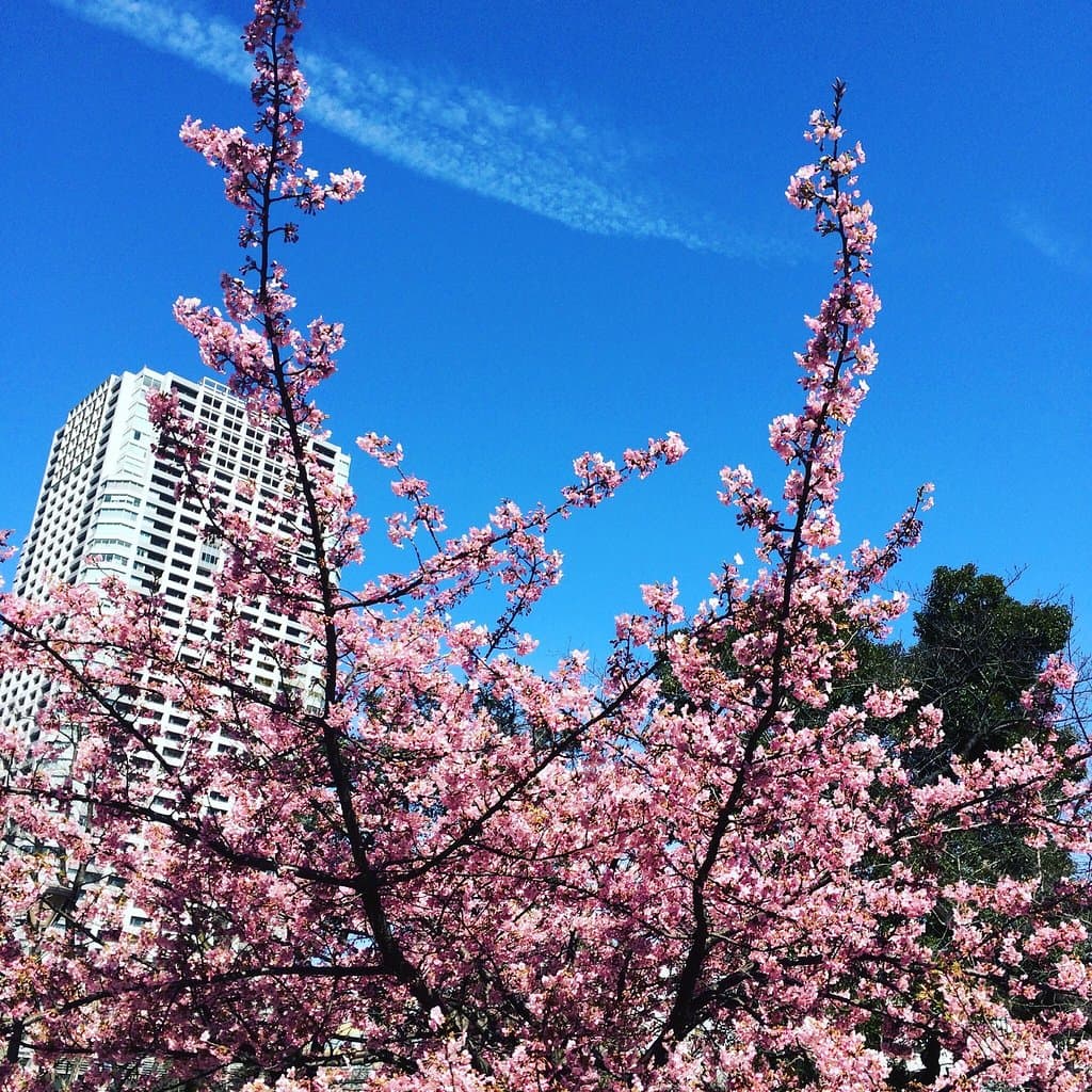 Kinshi Park