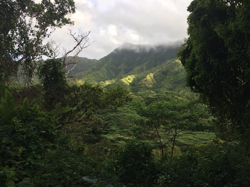 Moalepe Trail