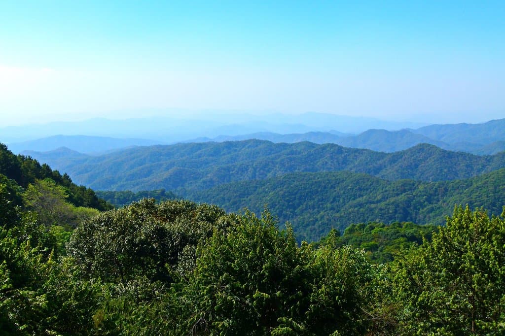 view