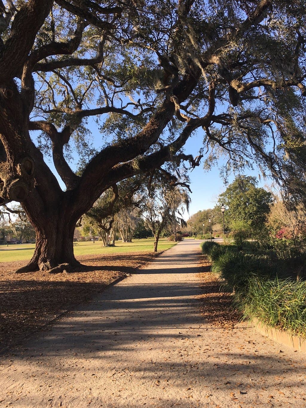 Running through the park in early evening