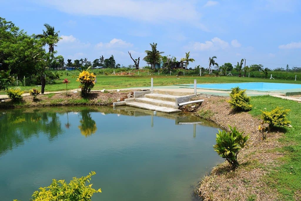 One of the naturally heated thermal pools