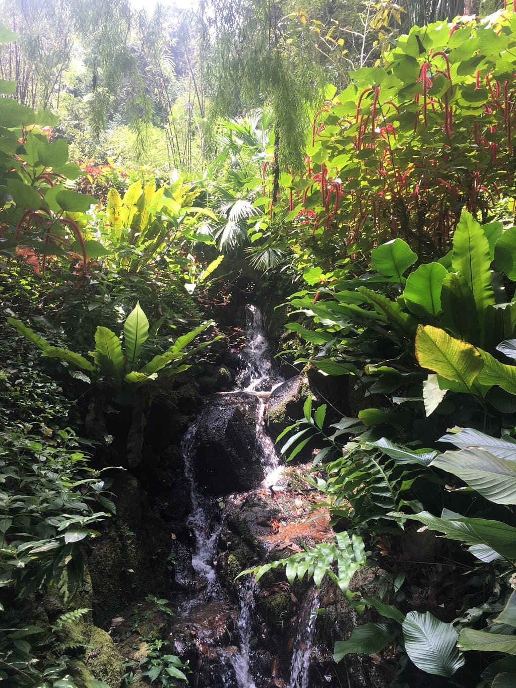 Tropical Spice Garden Penang